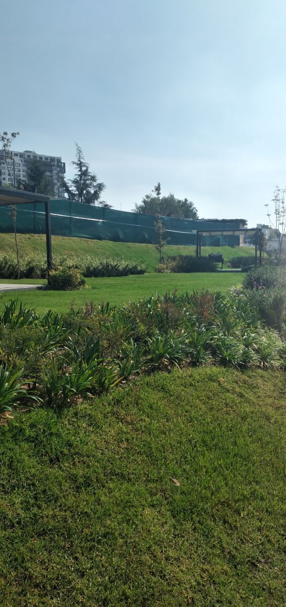 1 de 31: 15,000 m2 de jardines