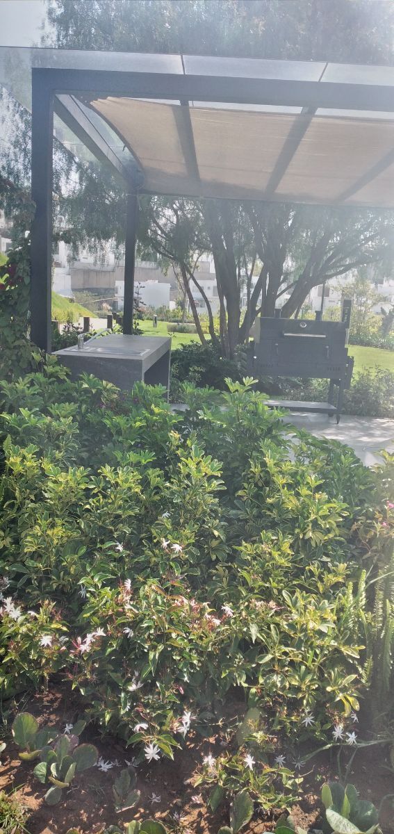 4 de 31: Asadores en área de jardines