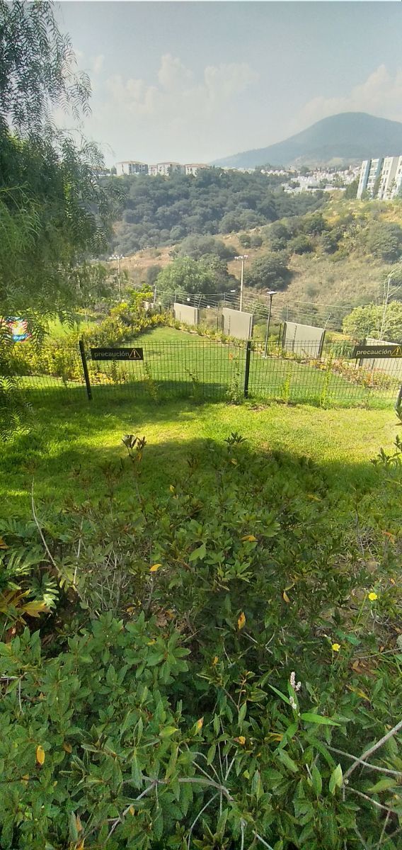 7 de 31: Jardín para mascotas