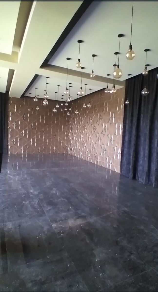 10 de 31: 2 Salones de fiestas