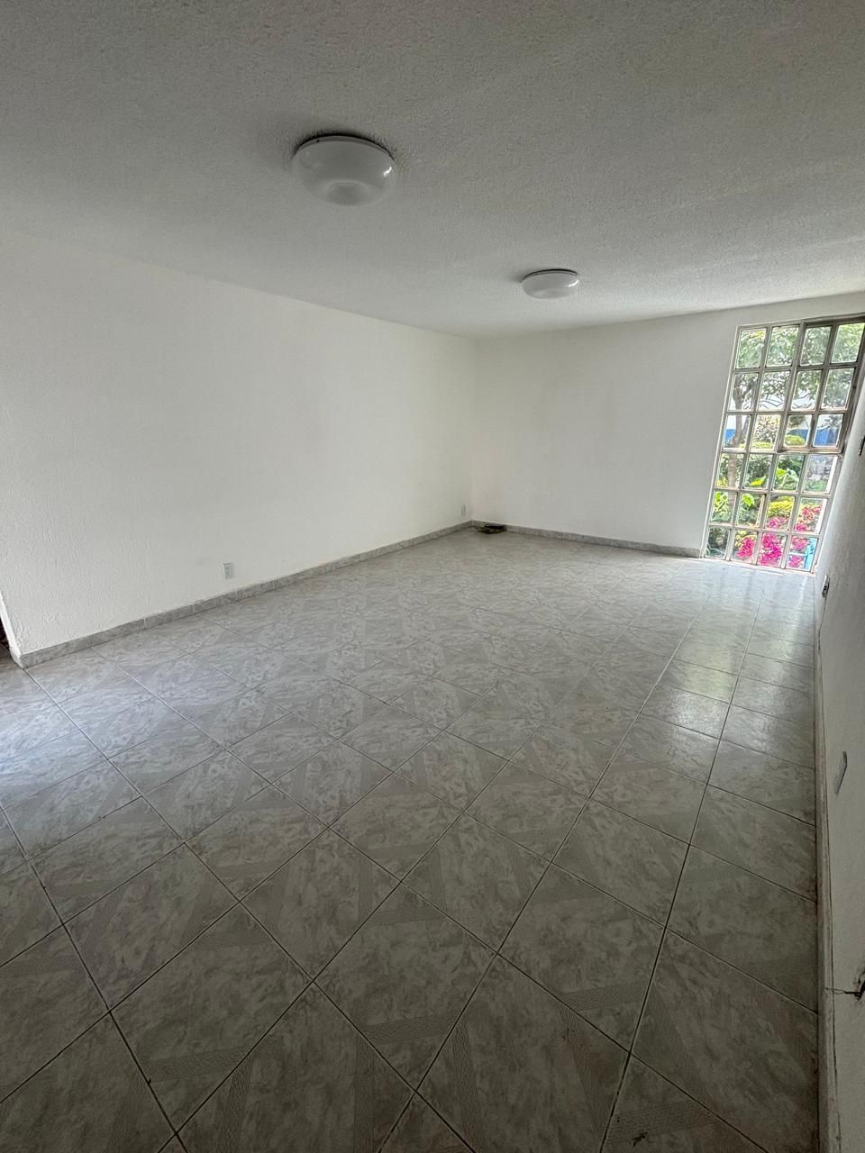 Imagen 3 de 10