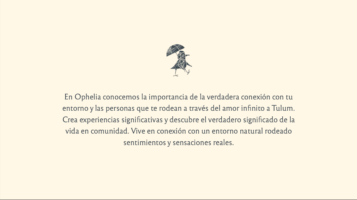 21 de 24