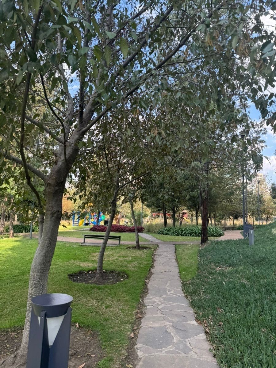 29 de 34