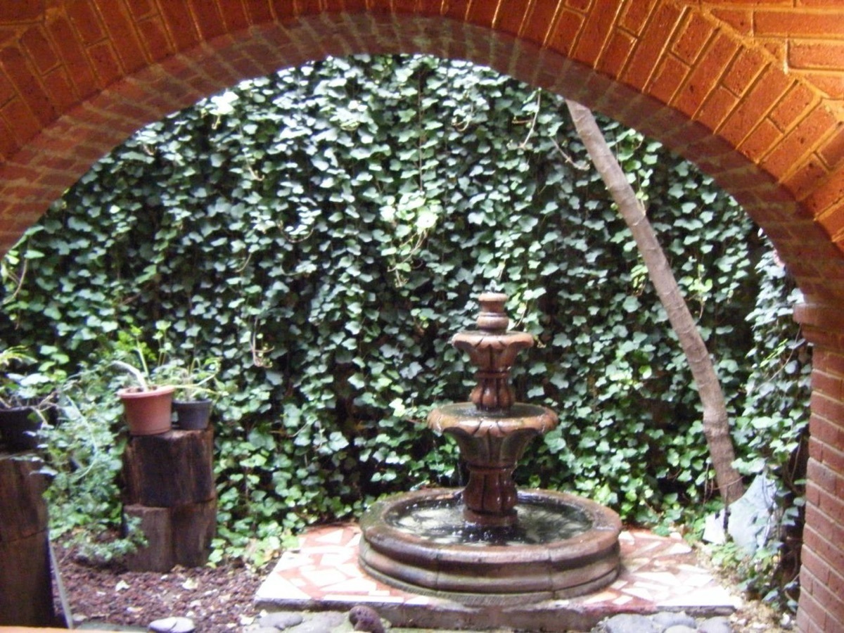 5 de 6