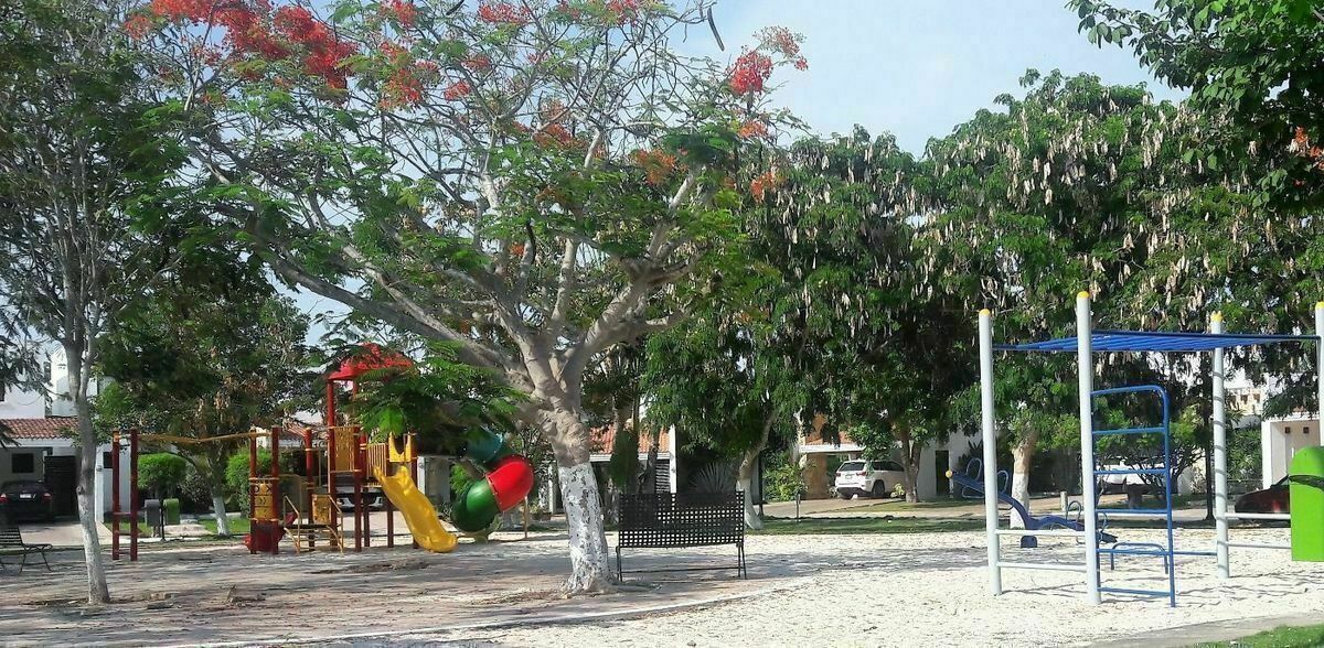 27 de 36