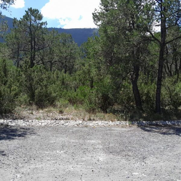Terreno en Ejidal, Arteaga, foto 4 de 7