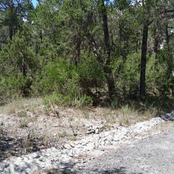 Terreno en Ejidal, Arteaga, foto 5 de 7