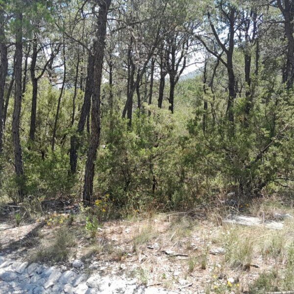 Terreno en Ejidal, Arteaga, foto 7 de 7