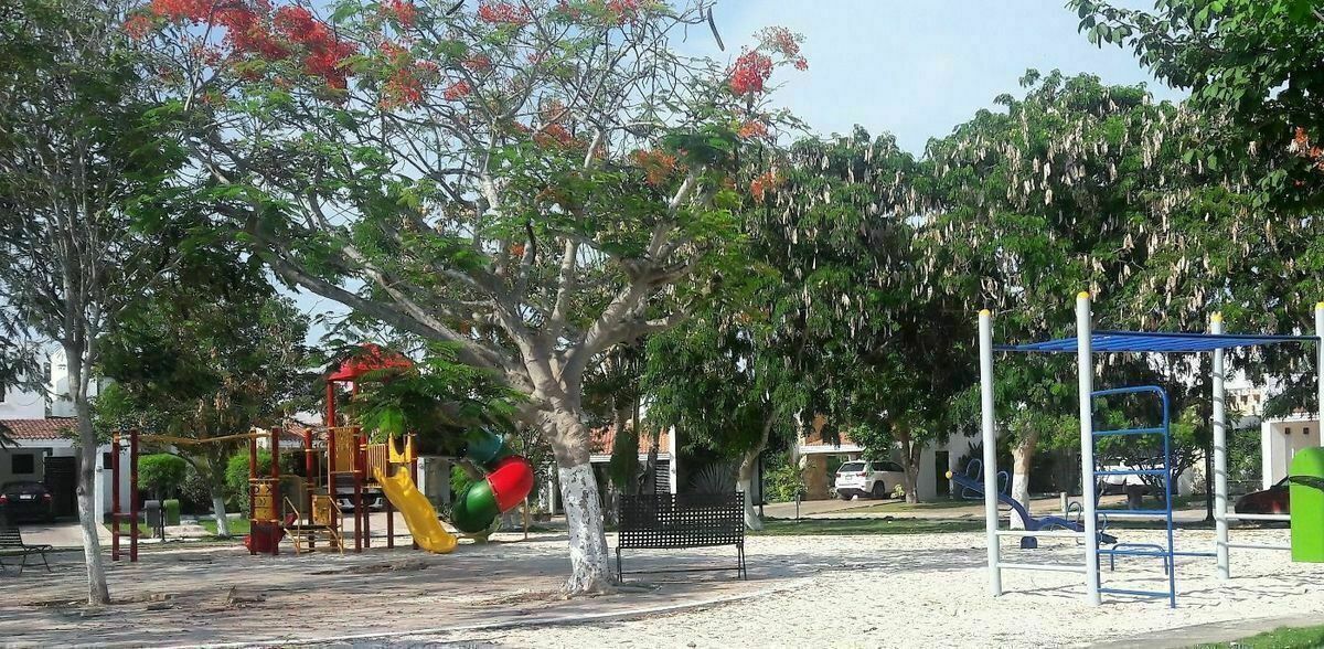 27 de 36