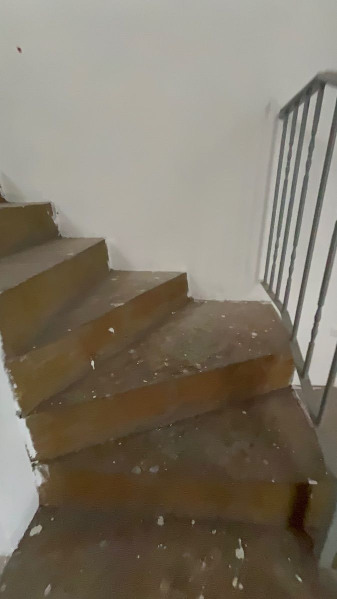 3 de 12