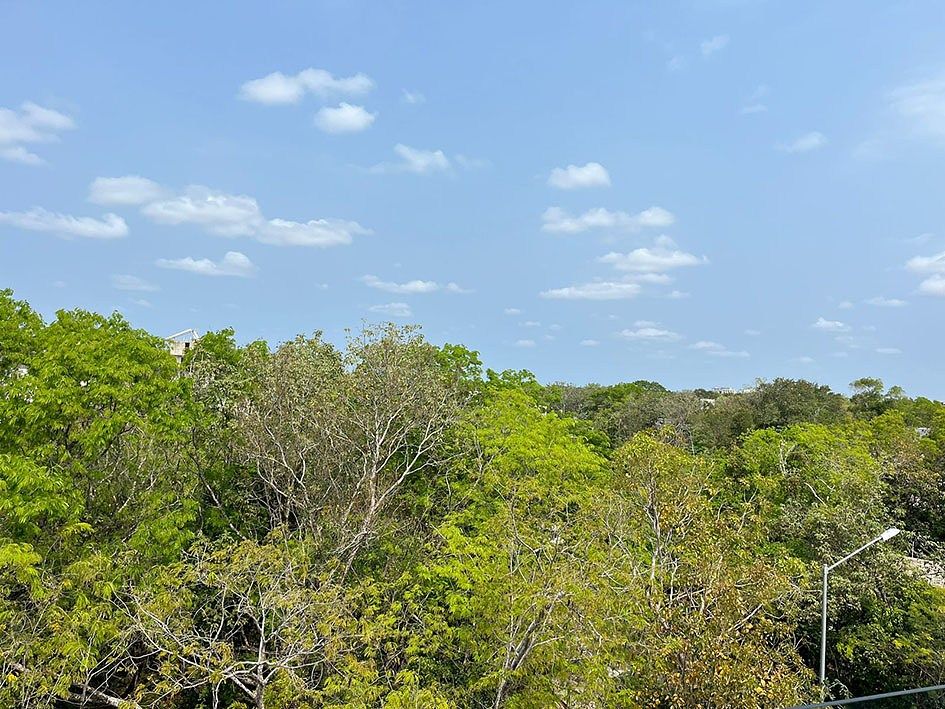 Departamento en Ciudad Mayakoba, Playa del Carmen, foto 3 de 18