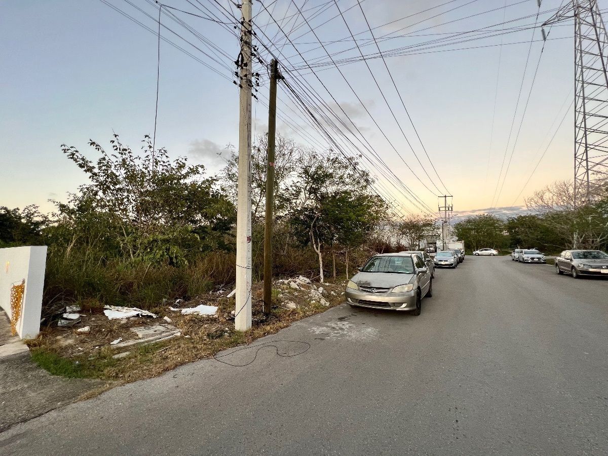 7 of 12: Calle atrás