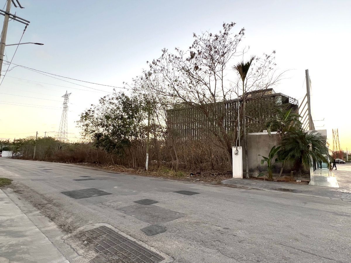 6 of 12: Calle lateral