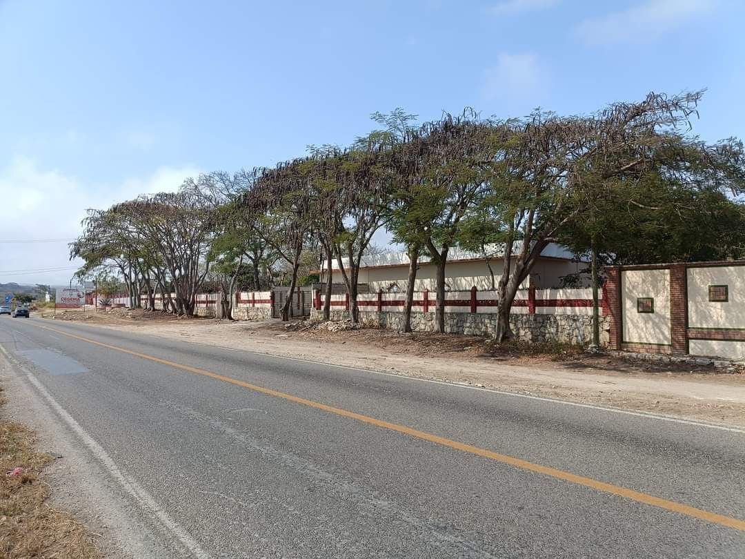 Se vende finca con 8,320 M2. - foto 1