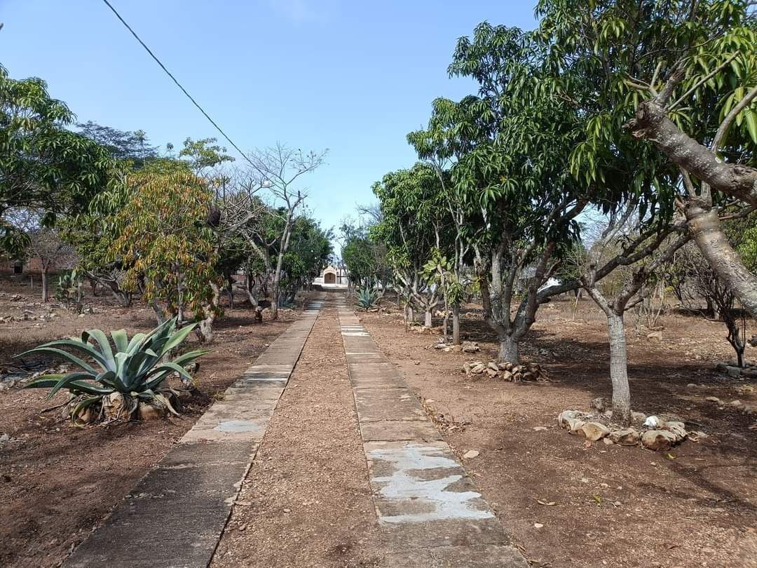 Se vende finca con 8,320 M2. - foto 5