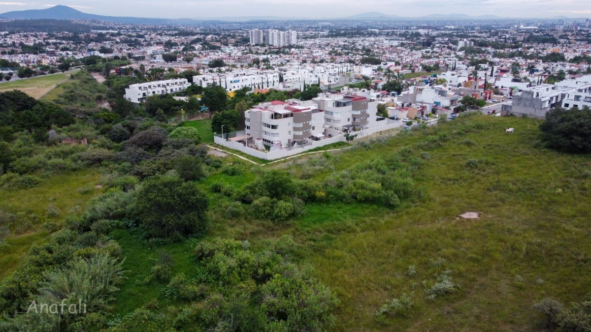 2 de 39