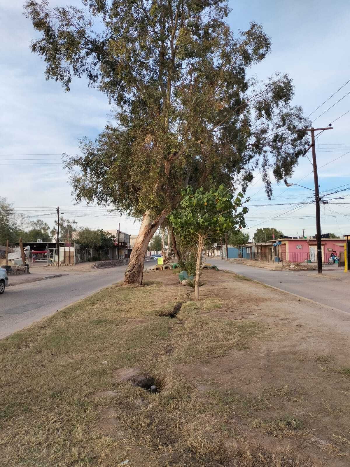 3 de 5
