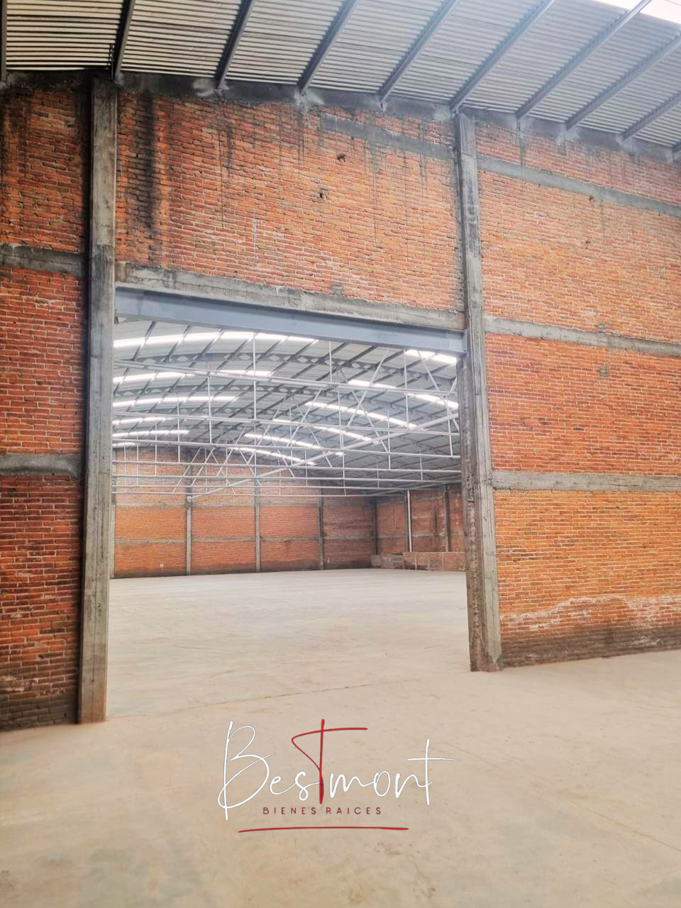 4 de 17: Interior bodega