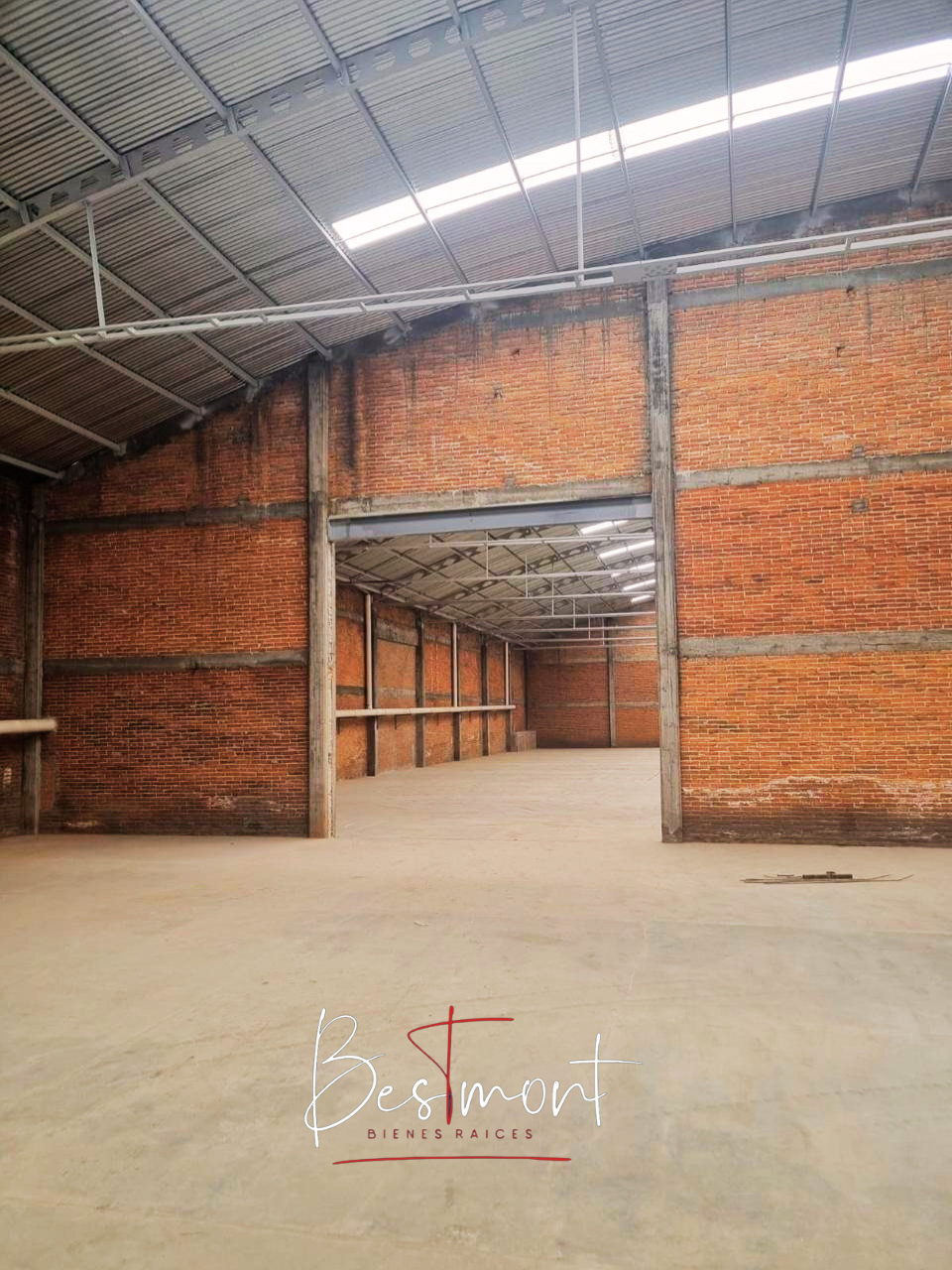 3 de 17: Interior bodega