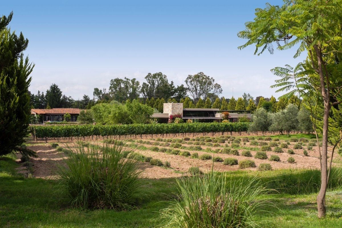 LAND FOR SALE IN LA SANTISIMA TRINIDAD VINEYARDS, SAN MIGUEL DE ALLENDE - foto 1