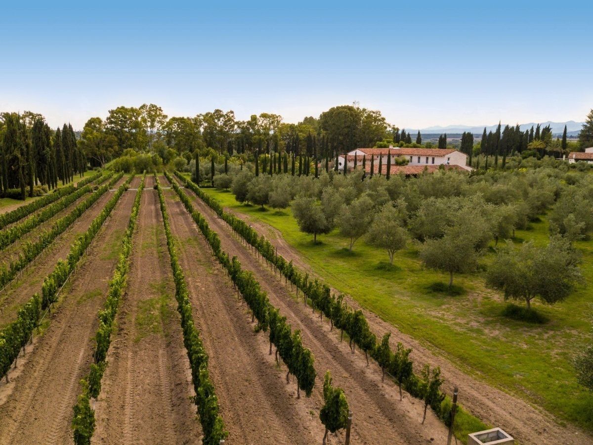 VENTA DE TERRENO EN VIÑEDO LA SANTISIMA TRINIDAD - foto 3