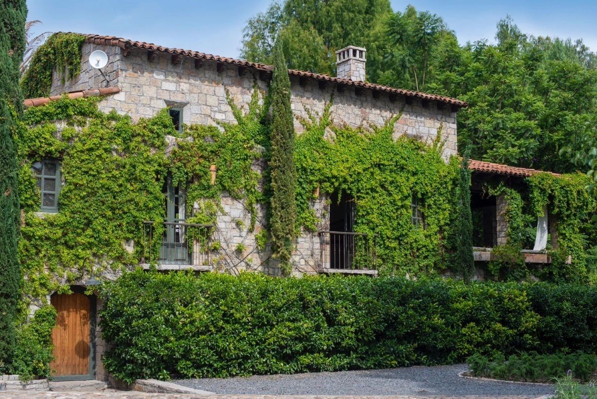 VENTA DE TERRENO EN VIÑEDO LA SANTISIMA TRINIDAD - foto 5