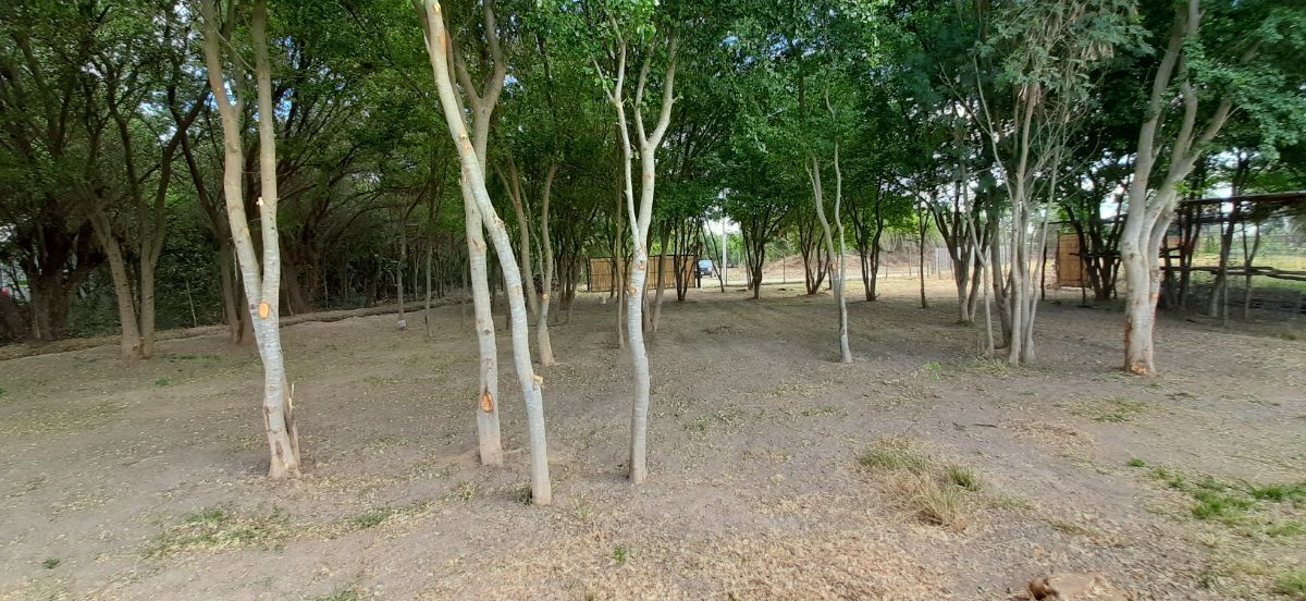 4 de 5