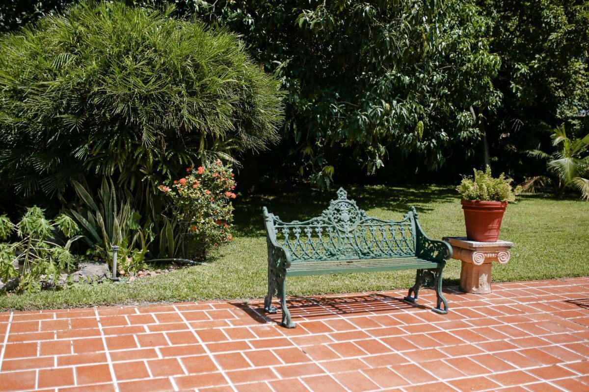 Imagen 4 de 10