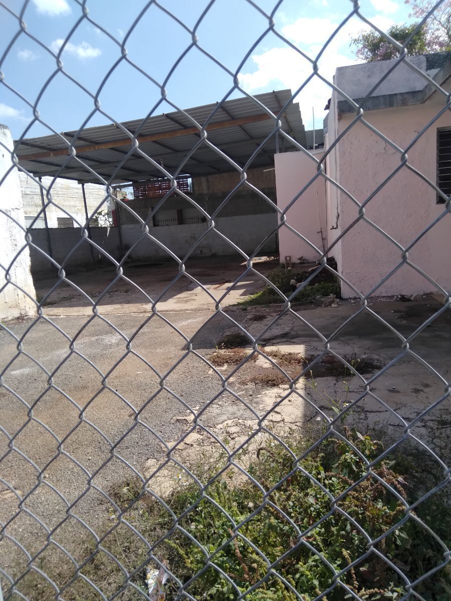 5 de 12