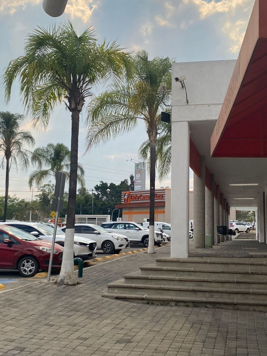 13 de 15