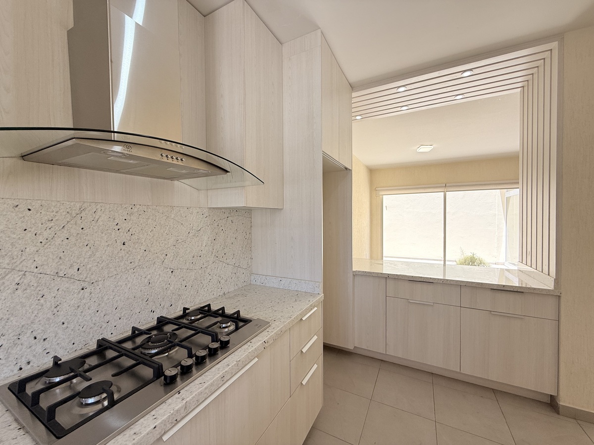 5 de 25: IMG_4156.jpeg