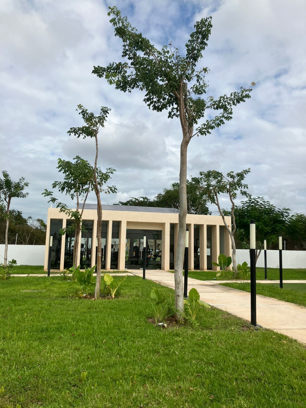 6 de 11