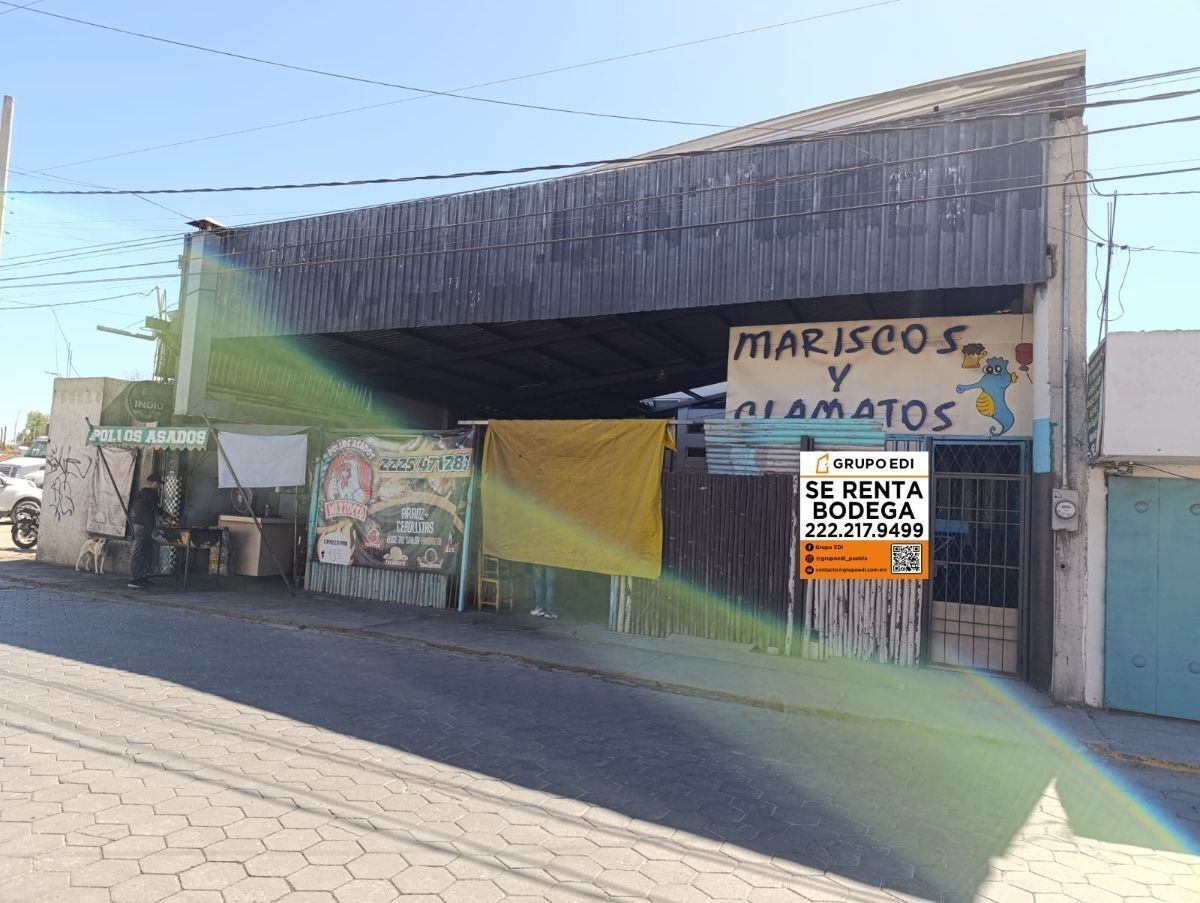 1 de 13