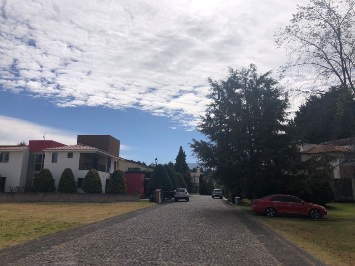 5 de 11: Calle empedrada del terreno