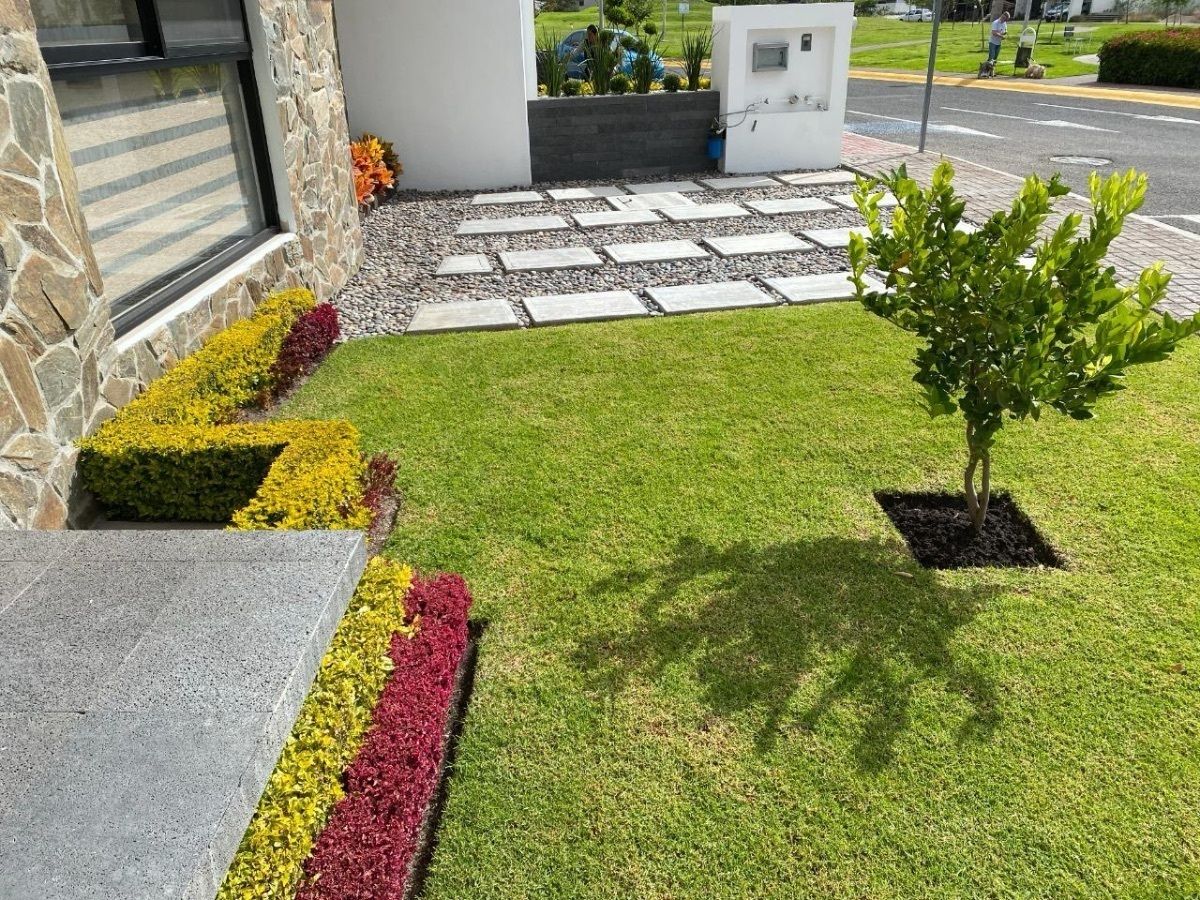 Imagen 3 de 10