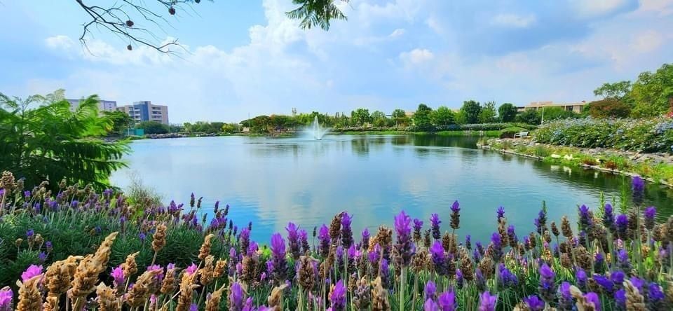 https://assets.easybroker.com/property_images/4322588/72019584/EB-PP2588.jpeg?version=1709007367