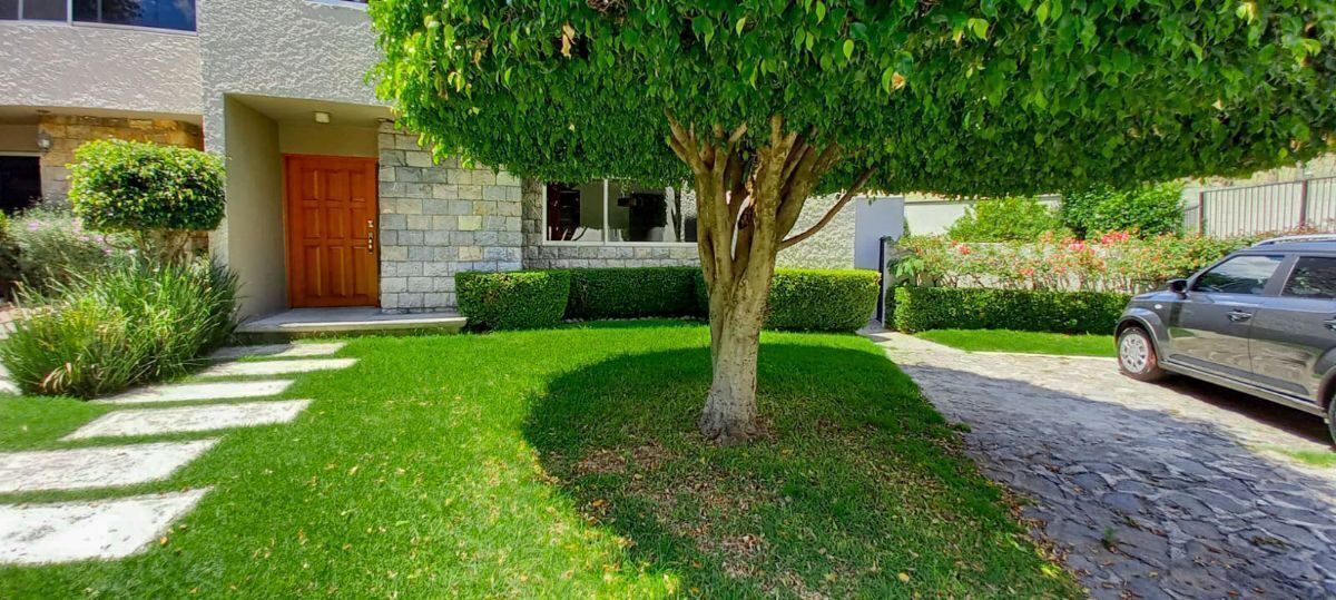 3 de 25: Pequeño jardín al frente de la casa