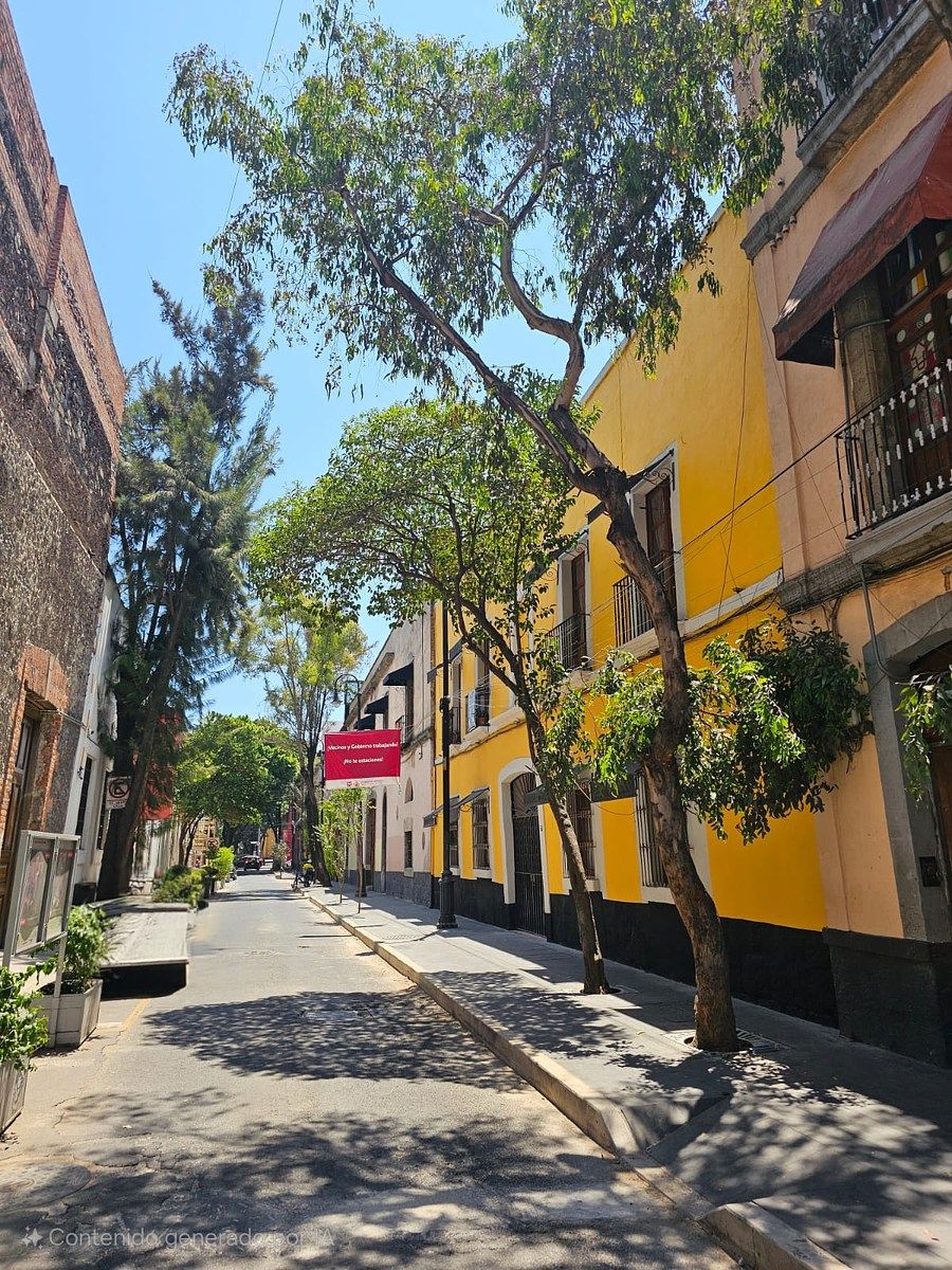 Alugue um apartamento no Centro Histórico da CDMX, mobiliado ou não mobiliado., foto 1 de 29