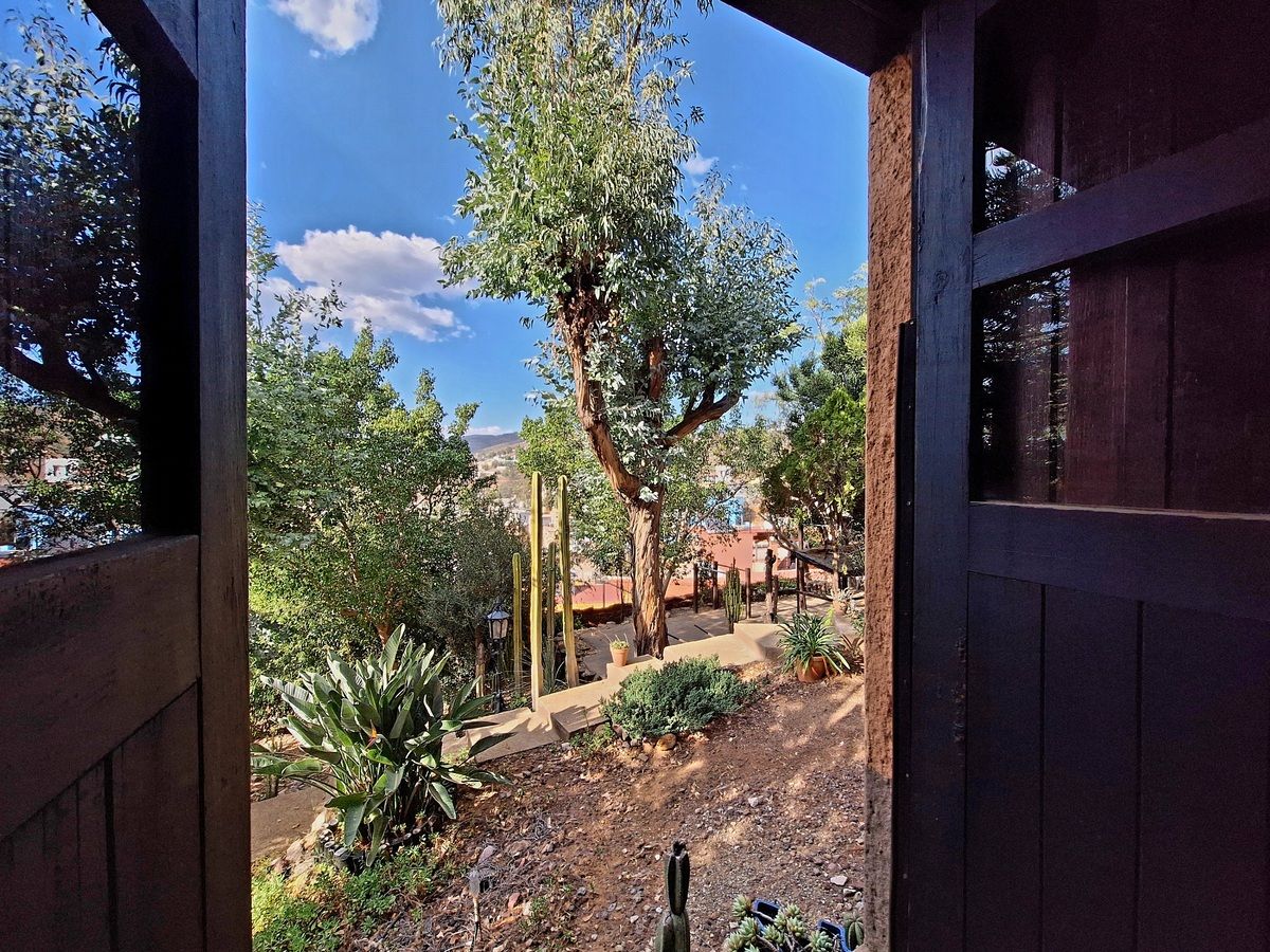 14 de 44: Vista al jardin