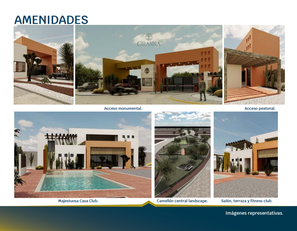 Imagen 2 de 2