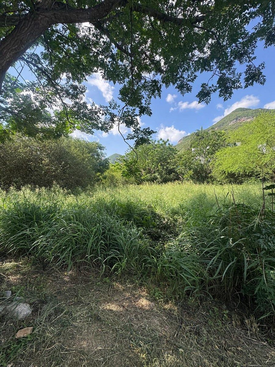Lote em Los Cristales, Monterrey, foto 3 de 13