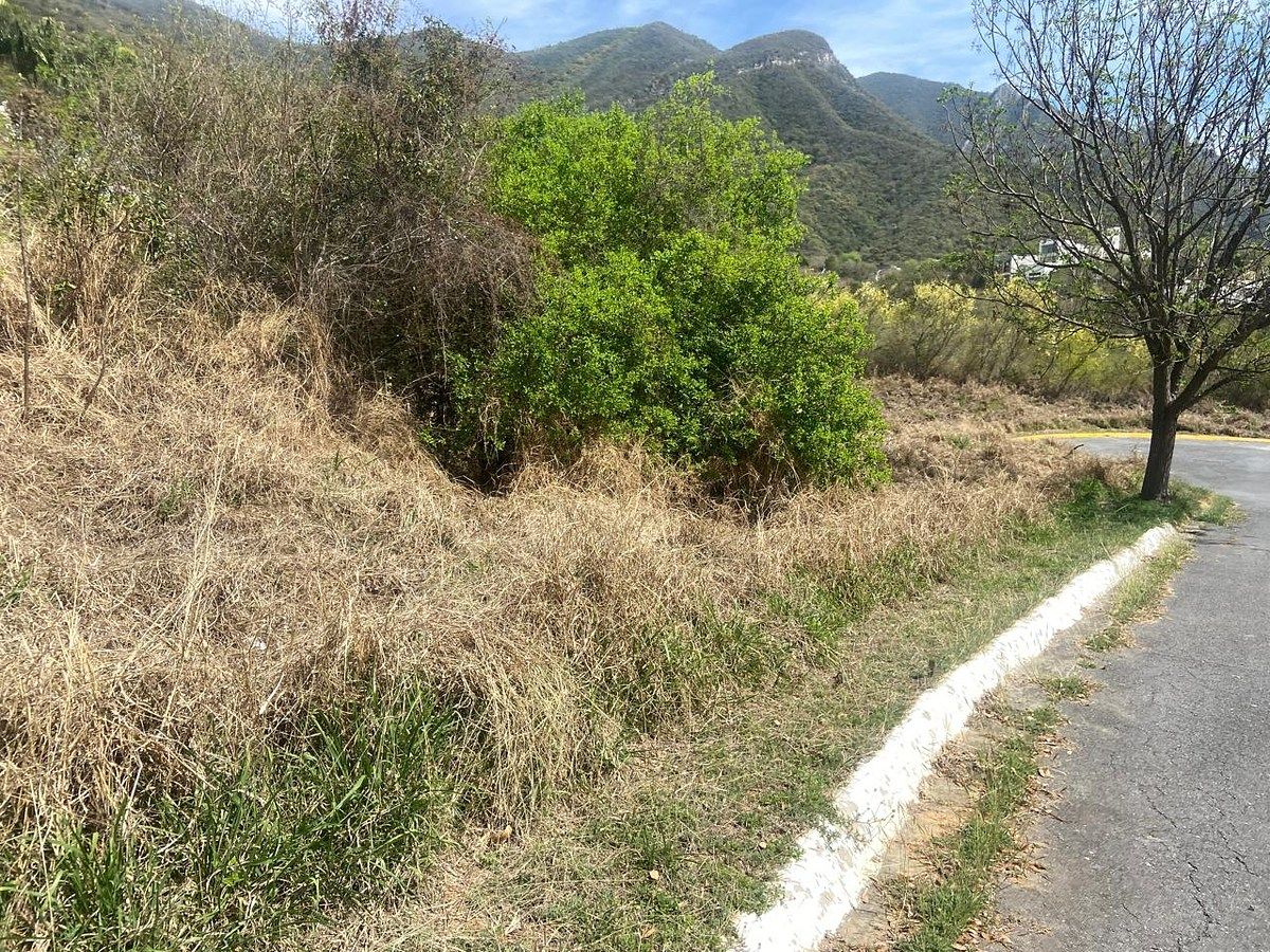 Lote em Los Cristales, Monterrey, foto 8 de 13