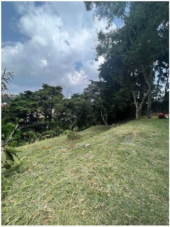 4 de 5