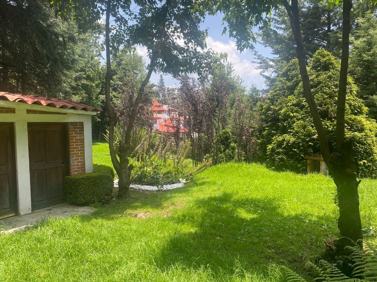 17 de 25