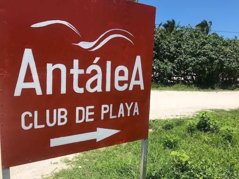 5 de 20
