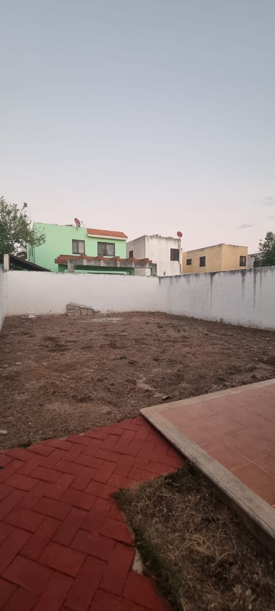 14 de 14