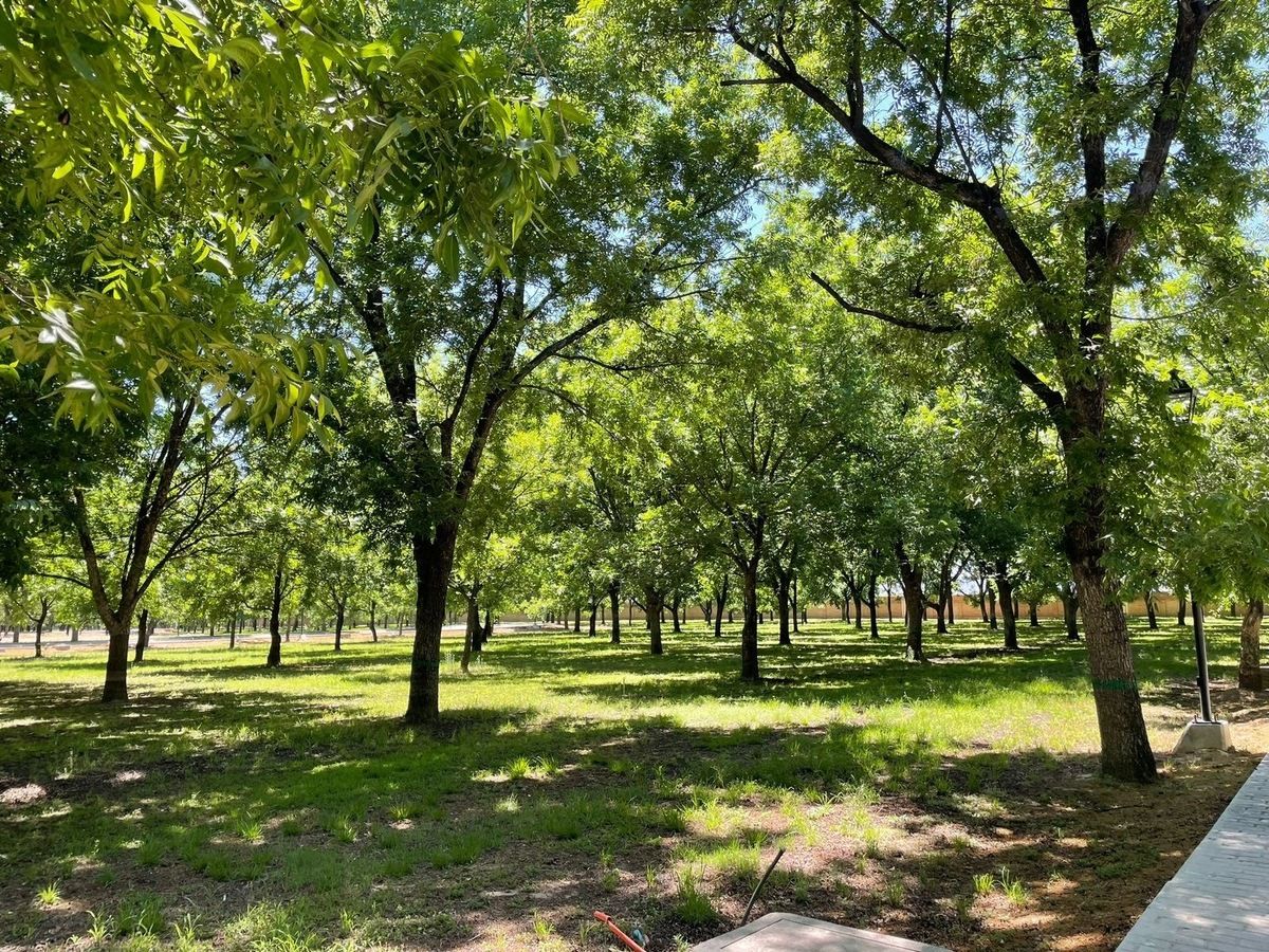 Terreno en Venta en Hacienda del Nogal