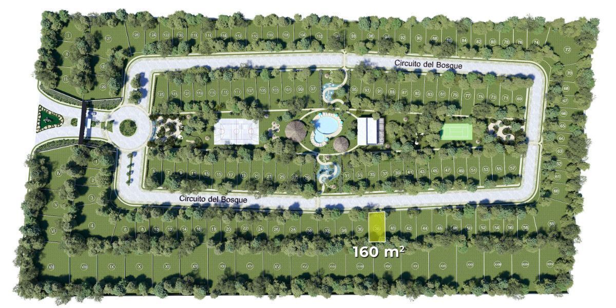 Lote Residencial en Paseo de la Selva 2