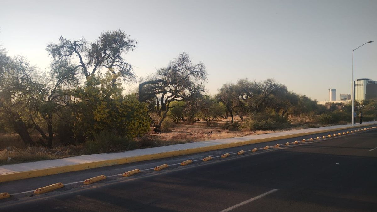 Terreno en Venta en El Salitre, Querétaro — 2,000 m² Avenida
