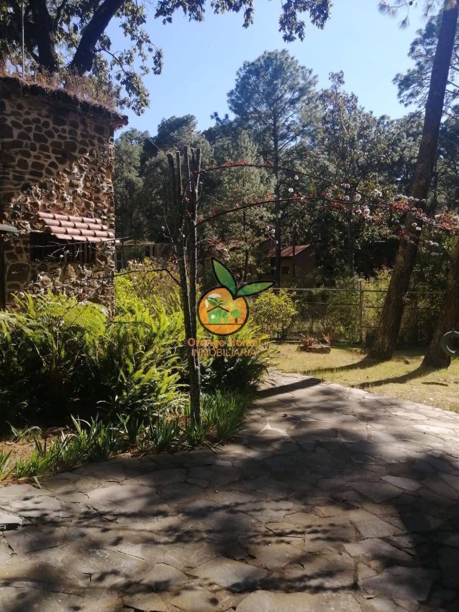 Imagen 4 de 10